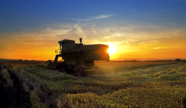 imagem_2023-09-18_104518035