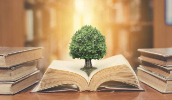 imagem_2023-09-18_104804690